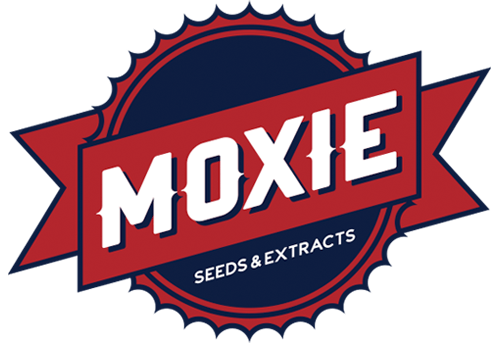 Moxie Seeds