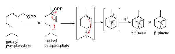 Synthesis of pinene from geranyl pyrophosphate