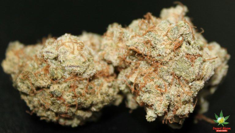 Cherry Pie, also known as Cherry Kush