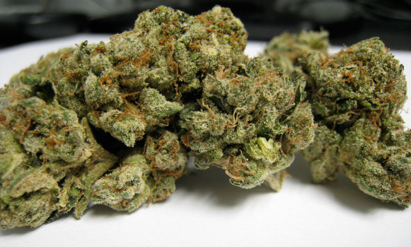 Sour Diesel buds