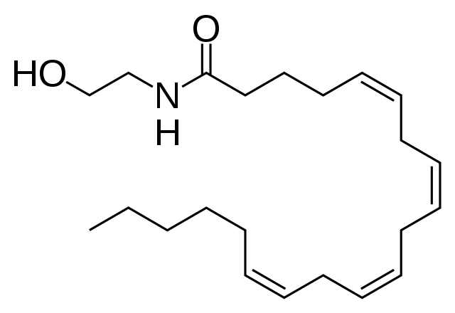 Anandamide, a very useful endocannabinoid