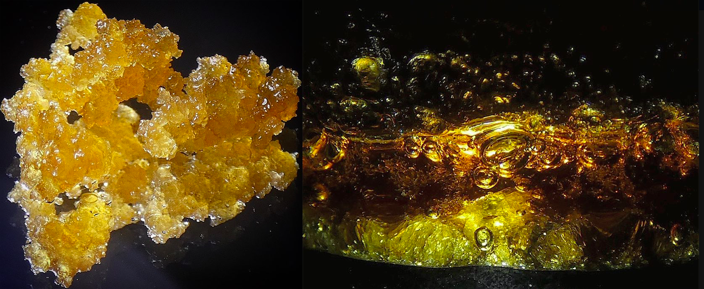 Wax Dabs & Dab Shatter: Cannabis Concentrates Explained