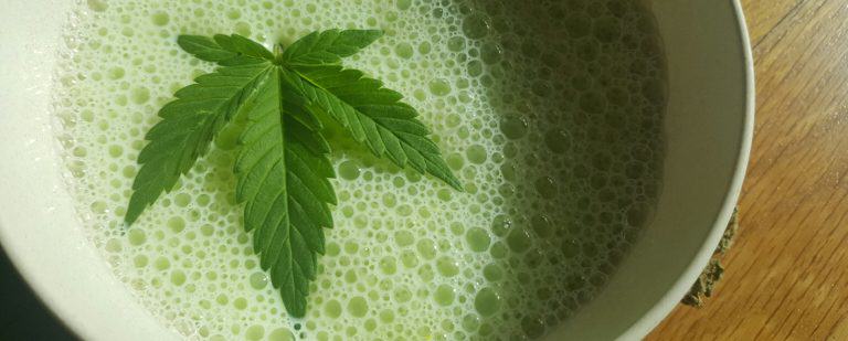 Bhang Lassi, cannabis milk shake