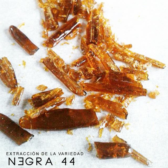 Negra 44 shatter