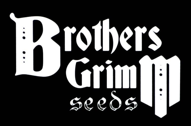 Origins of Brothers Grimm Seeds and interview with MrSoul