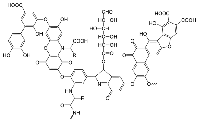 Acizii humici sunt macromolecule complexe