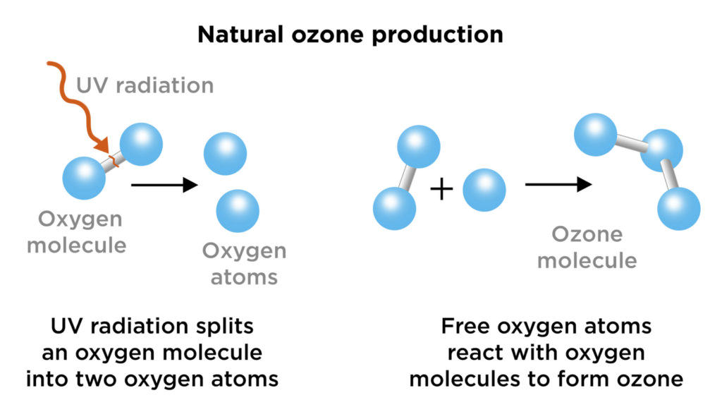 The ozone molecule (O3) is composed of three oxygen atoms (O2) formed by dissociating the two atoms that make up oxygen