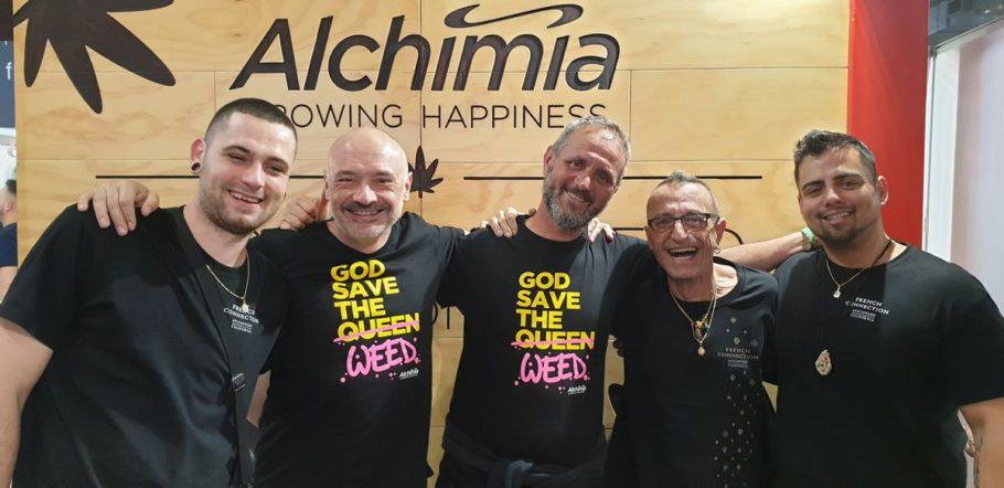 Aficionado French Connection with Alchimia Grow Shop