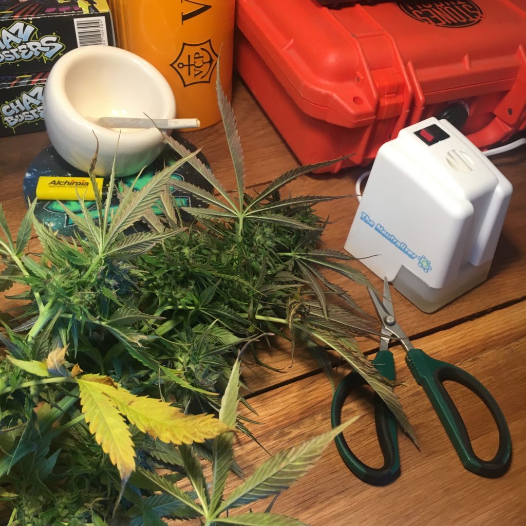 The Neutralizer easily deals with the smells from trimming