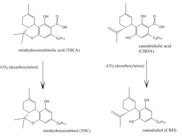 Two cannabinoids in acid form - THCA & CBDA - decarboxylate, losing a CO2 molecule, converting to THC & CBD