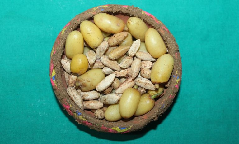 Fruits and seeds from the neem tree