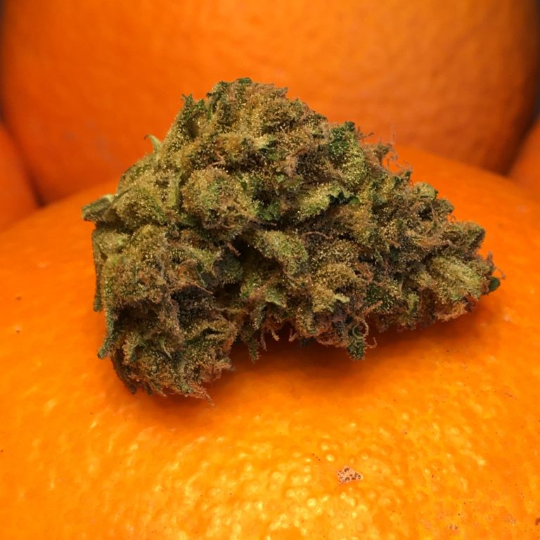 Smoke Report: Sorbet à l'Orange by Aficionado French Connection