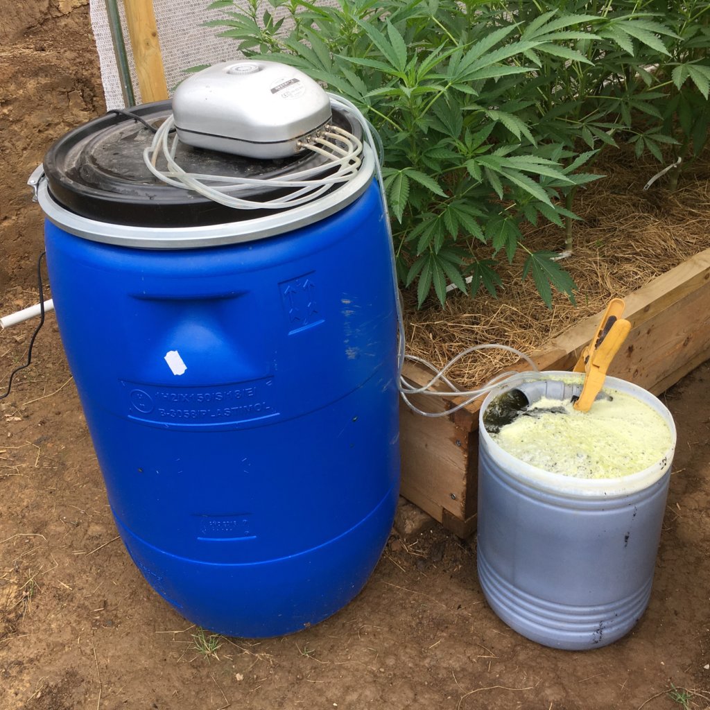 Bubbling a batch of compost tea