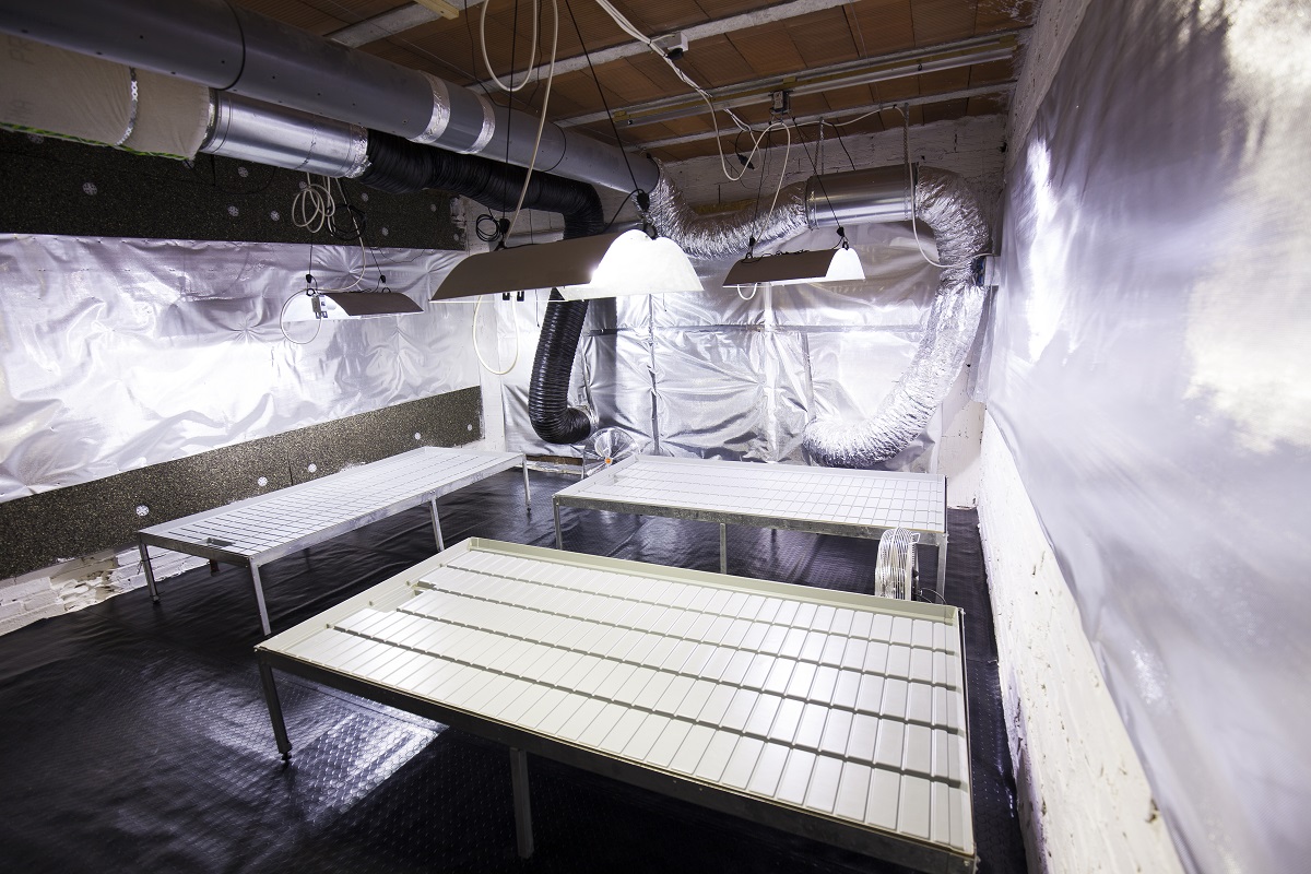 Deep cleaning your grow room or tent