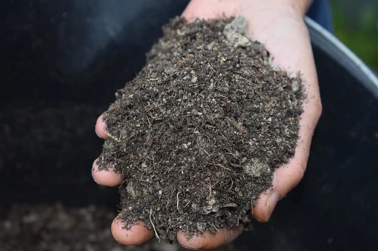 Fermented compost: Cannabis and Bokashi