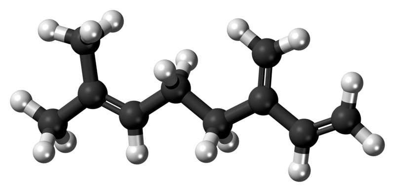 Myrcene: a terpene that enhances cannabinoid activity