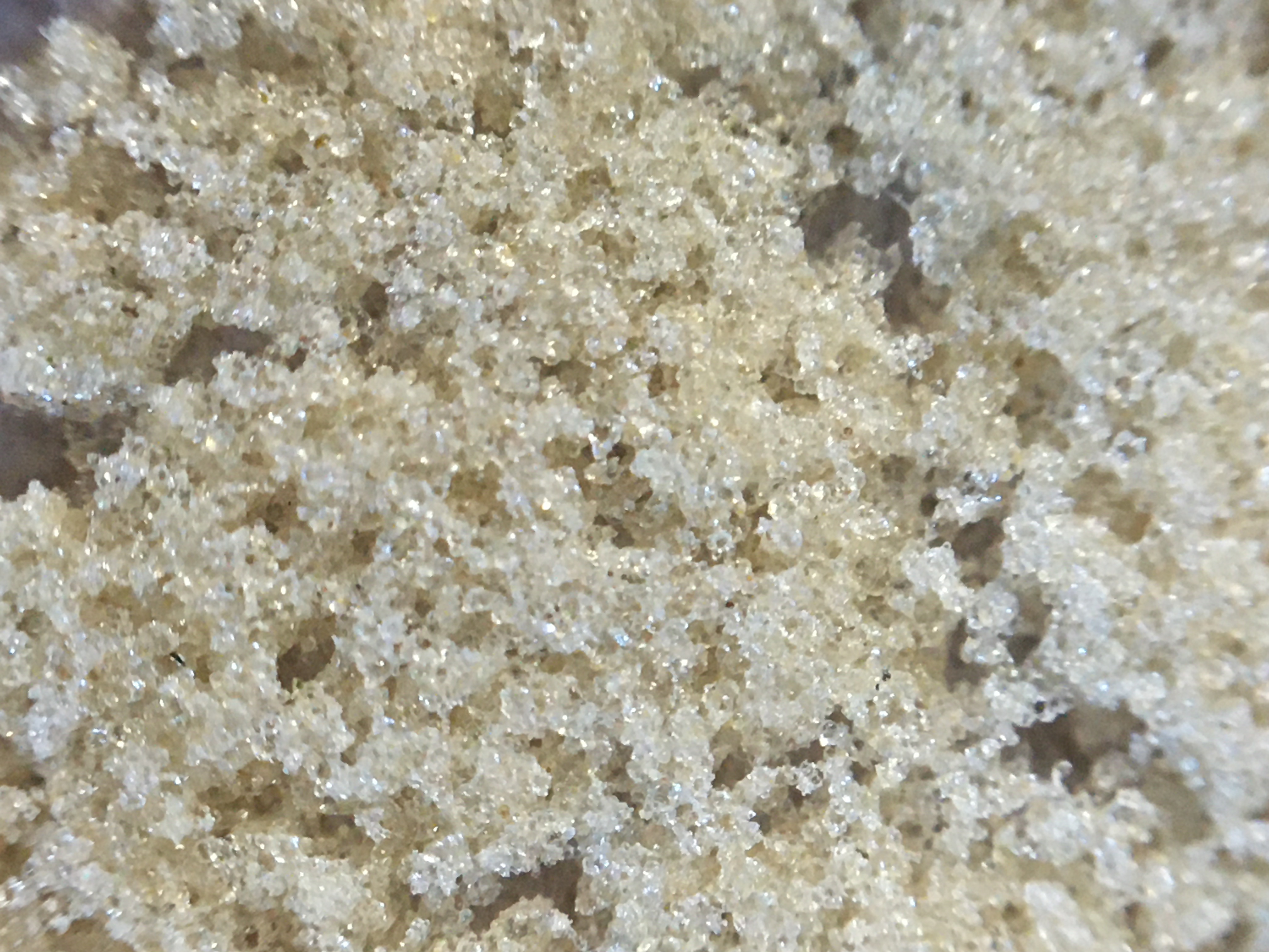 Strain Review: Power Plant (Ice-o-lator Hash)