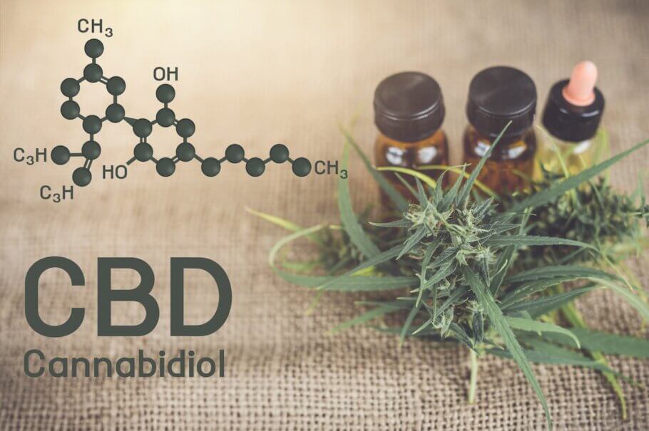 CBD and THC are the two most prevalent cannabinoids found in cannabis