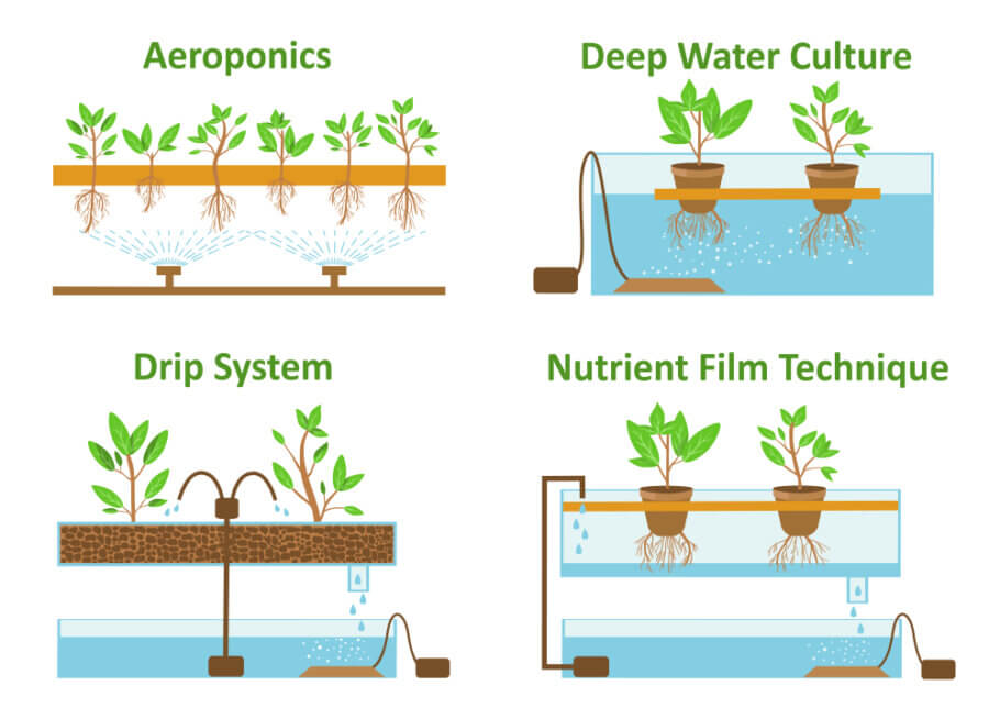Cultivation methods: aeroponics, DWC, drips system, and NFT