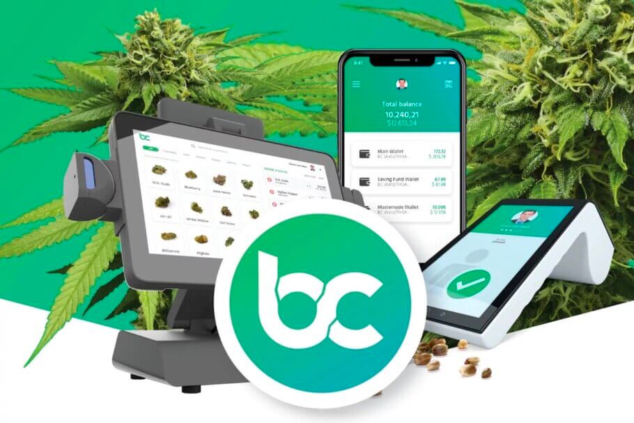 BitCanna is working hard to become the solution that the cannabis industry desperately needs.