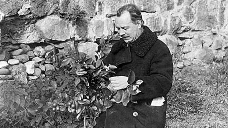 Vavílov was not interested in exotic plants, but in plant biodiversity, local species. It is what gives undoubted scientific importance to this collection