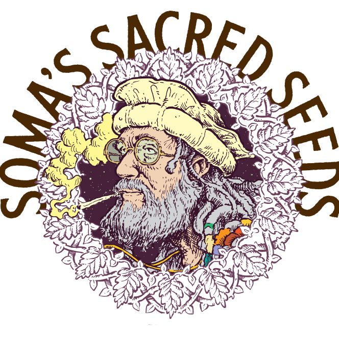 return-soma-sacred-seeds