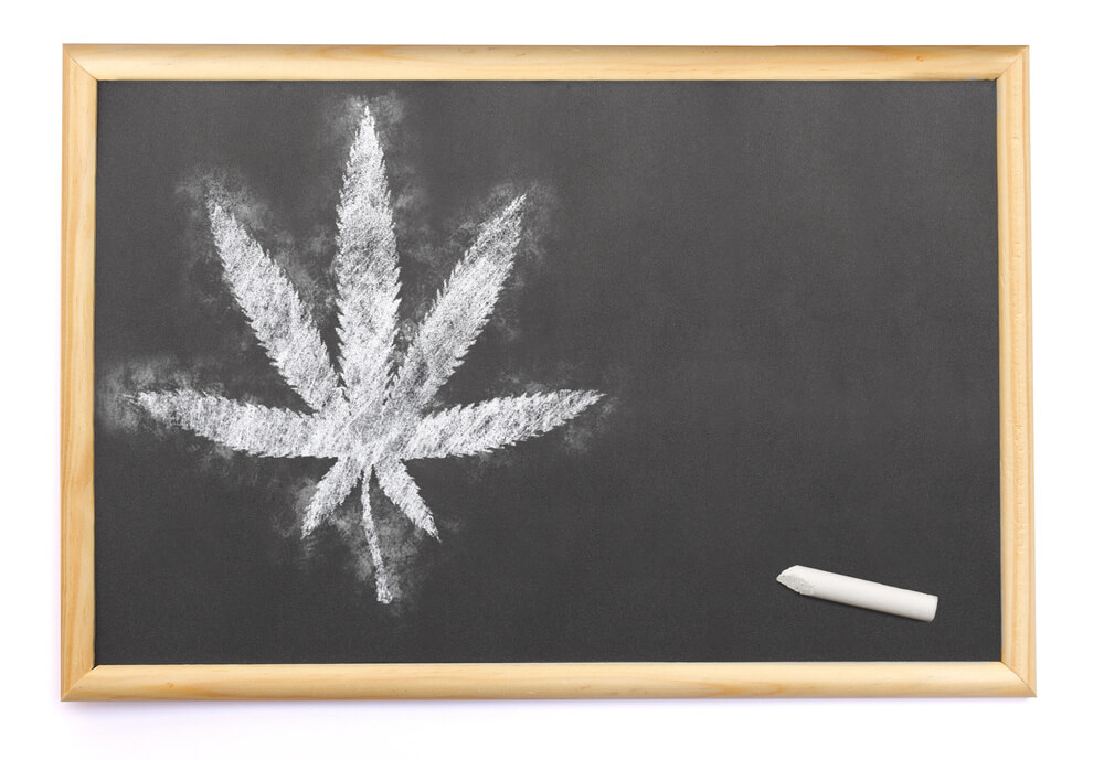 spanish-universities-official-cannabis-studies