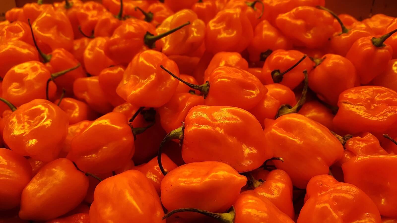 What is the Scoville Spiciness Scale?