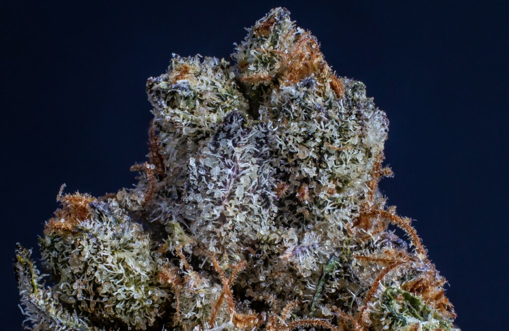 Enjoying clean buds is not at odds with outdoor cultivation