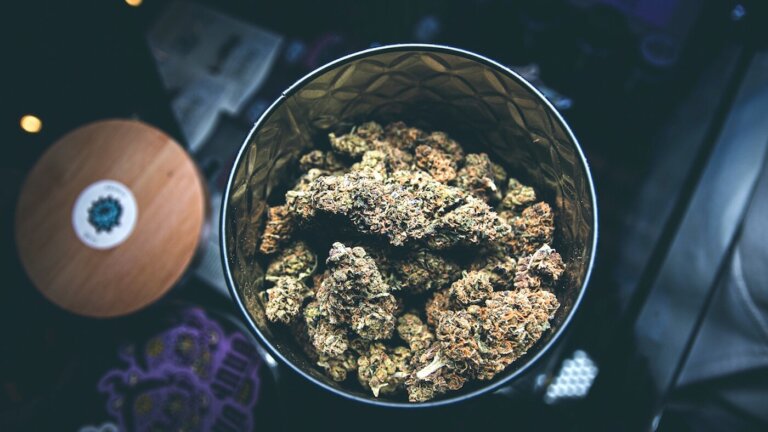 Curing cannabis