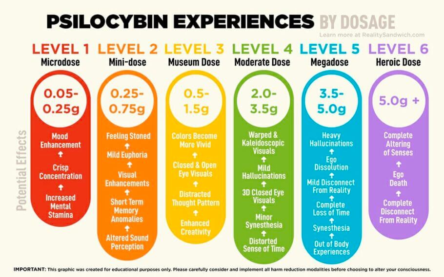 A chart showing a possible dosage of magic mushrooms, from microdose to "heroic dose" to bring down elephants