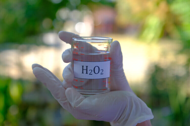 Do not hesitate: hydrogen peroxide is an excellent ally for any gardener or grower