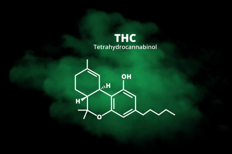 The different types of THC