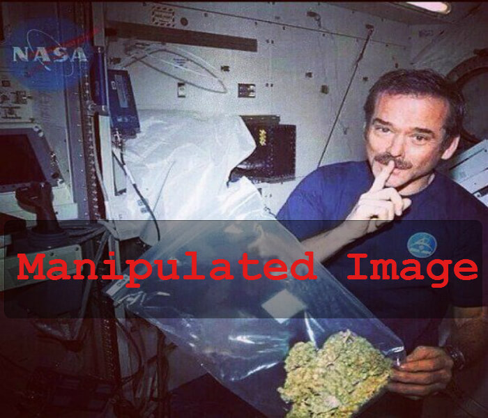 The famous photo of Hadfield with his bag of weed on the ISS