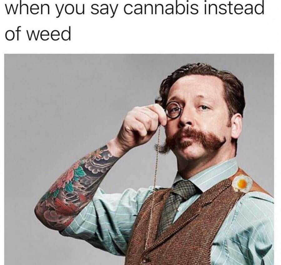 When you say cannabis instead of weed