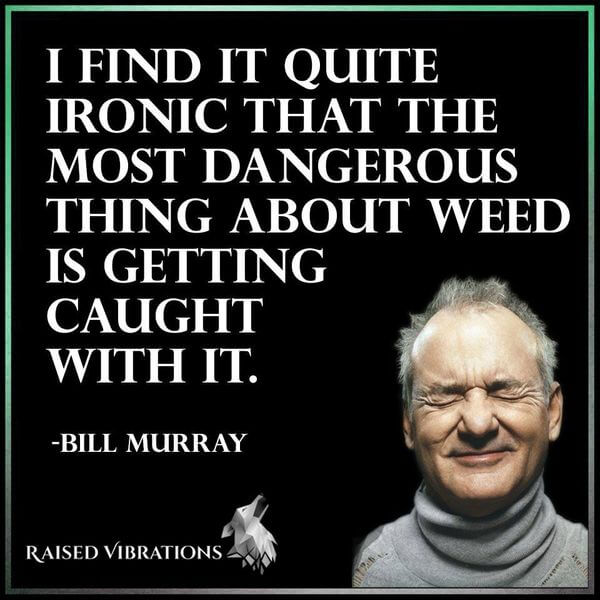 I find it quite ironic that the most dangerous thing about weed is getting caught with it. Bill Murray