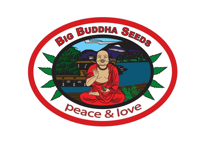 Big Buddha Seeds Logo