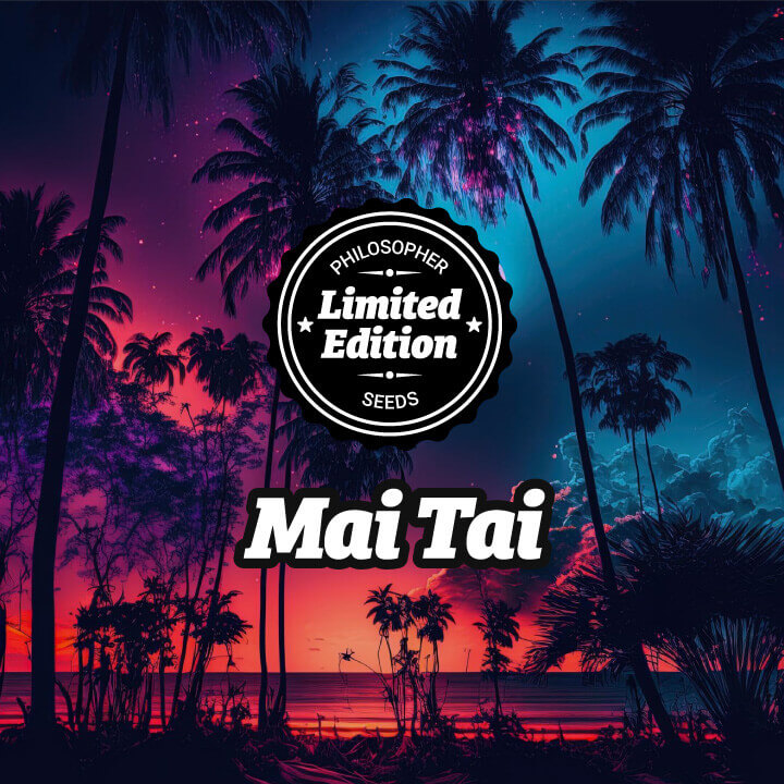 Mai Tai by Philosopher Seeds will surprise you with its enormous resin production and incredible combination of terpenes...and with an aphrodisiac touch!
