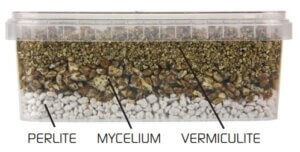 This is how the 3 layers of the substrate should look