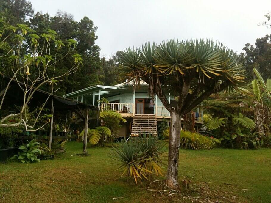 Botanical Dimensions, the ethnobotanical reserve founded by Terence and his wife Kathleen in 1985