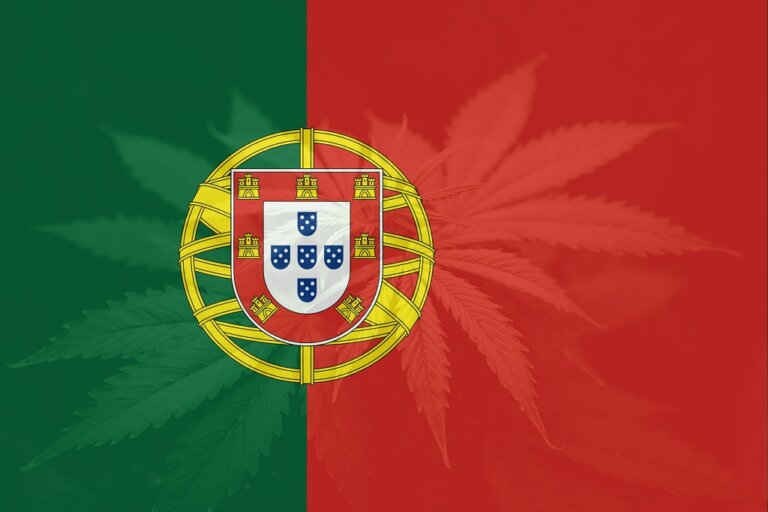 Cannabis and Portugal, a century-old relationship