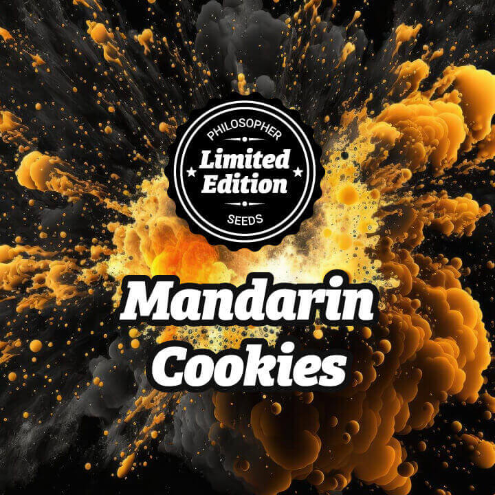 If you like varieties with citrus, sweet flavors and aromas with a creamy touch, Mandarin Cookies should be on your list!
