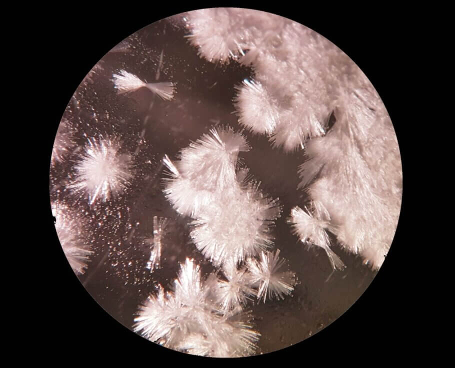 Psilocybin crystals isolated in the Miraculix laboratory (Image: Dr. Felix Blei)