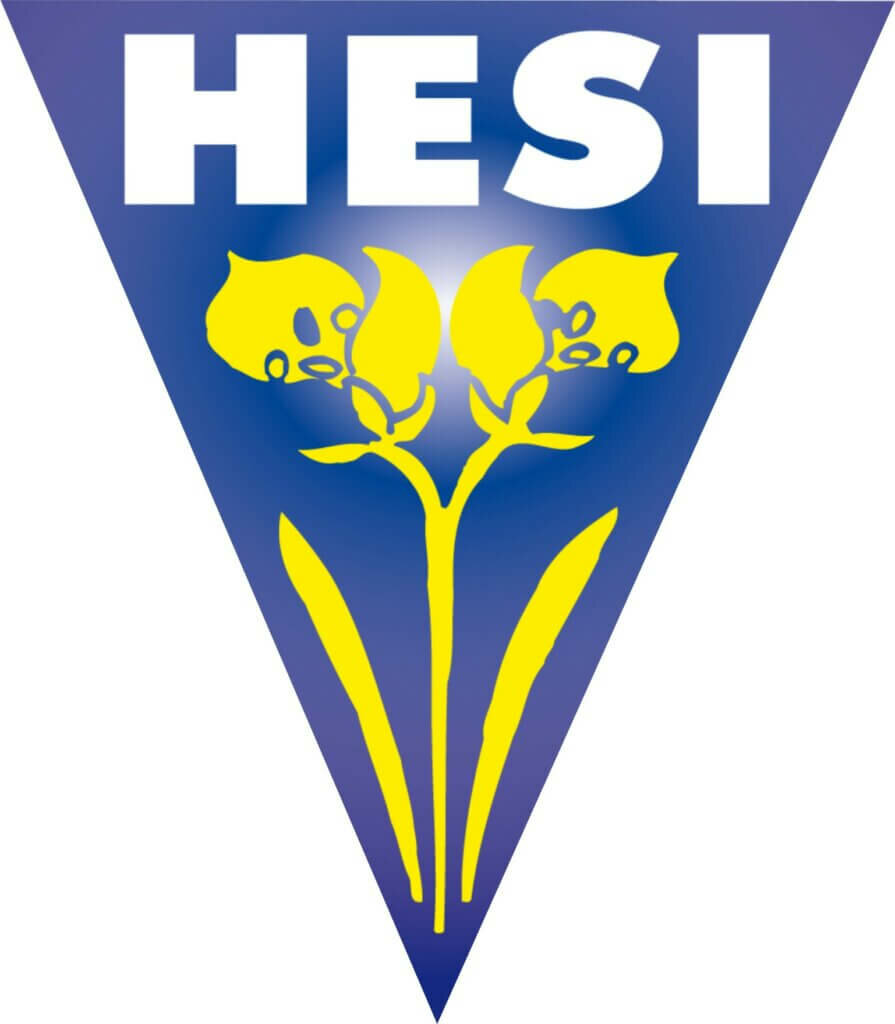 Hesi has more than 25 years of experience in the market