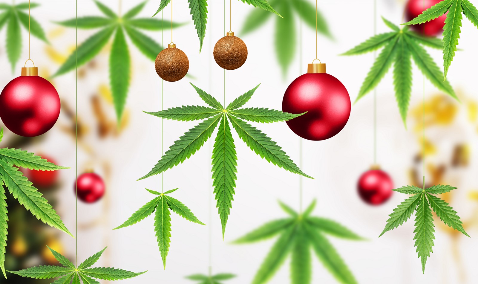 Cannabis gift ideas for Christmas 2024