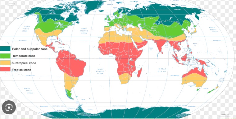 The different areas of the globe