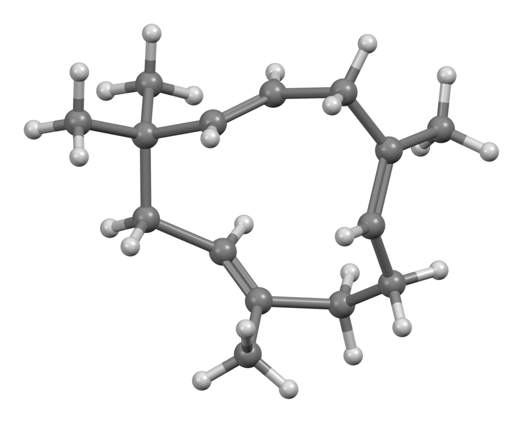 Humulene, a terpene with many fans