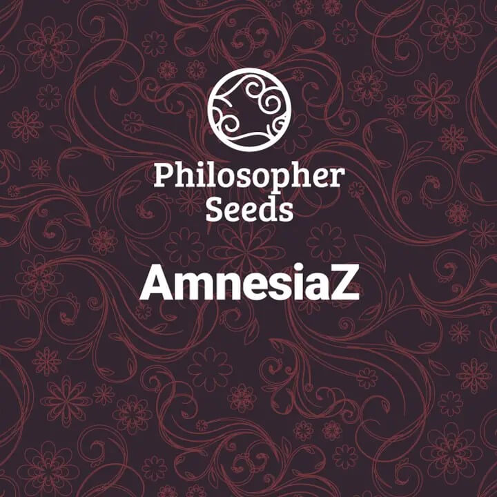 This is the corporate image of AmnesiaZ seed packets from Philosopher Seeds