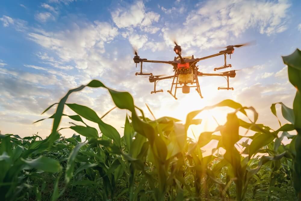 The use of drones is increasingly common in agriculture thanks to their multiple features