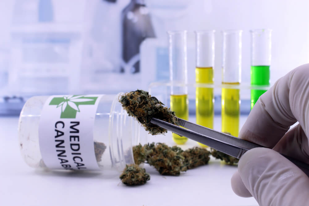 Cannabis Tests: What do cannabinoid and terpene percentages mean?